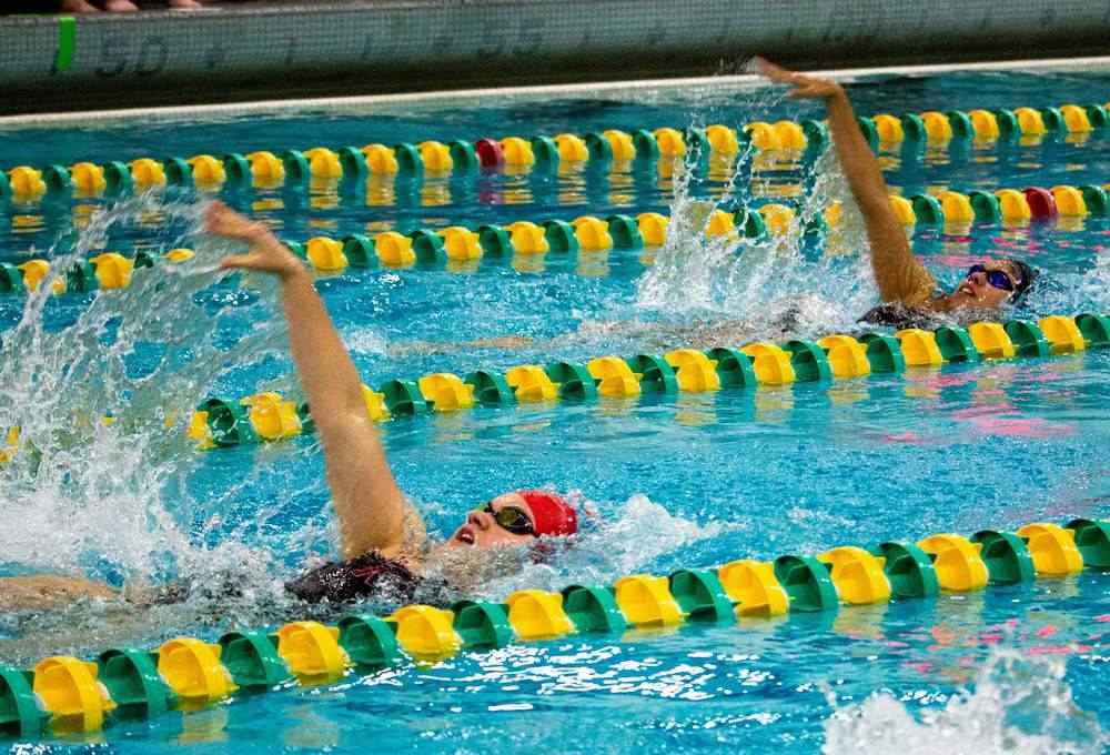 people swimming in the pool in backstroke style. 